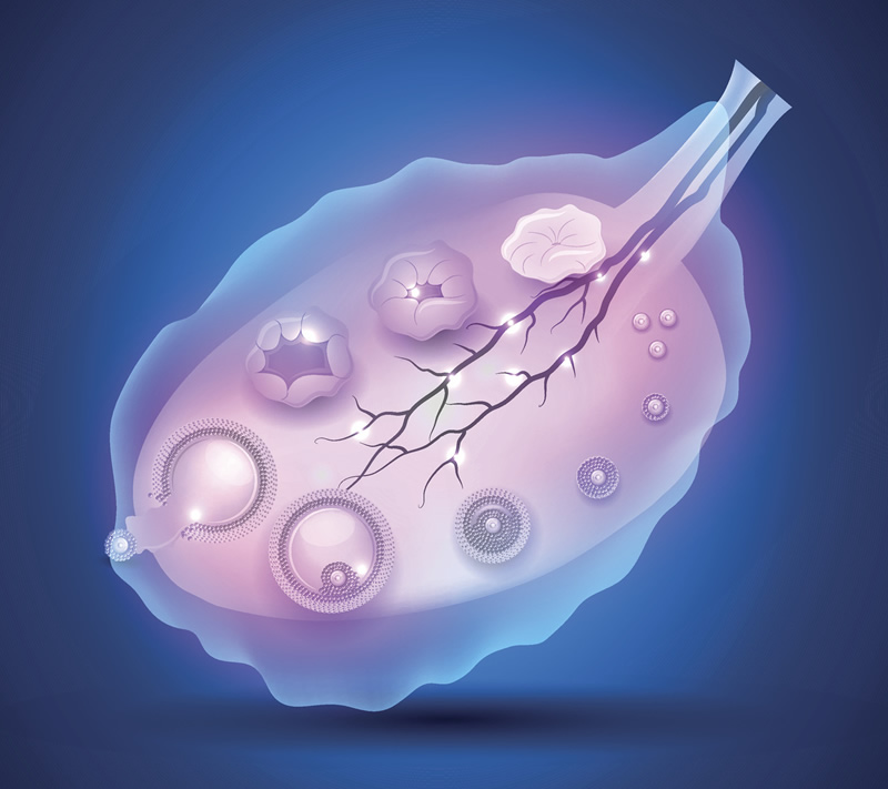 公布!六安较大的助孕公司对比 他们成功率真的很高吗？